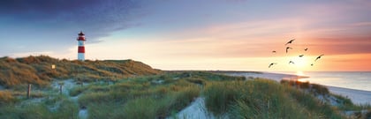 Wirtschaftsmediation Sommerkurs Sylt | CONSENSUS Campus