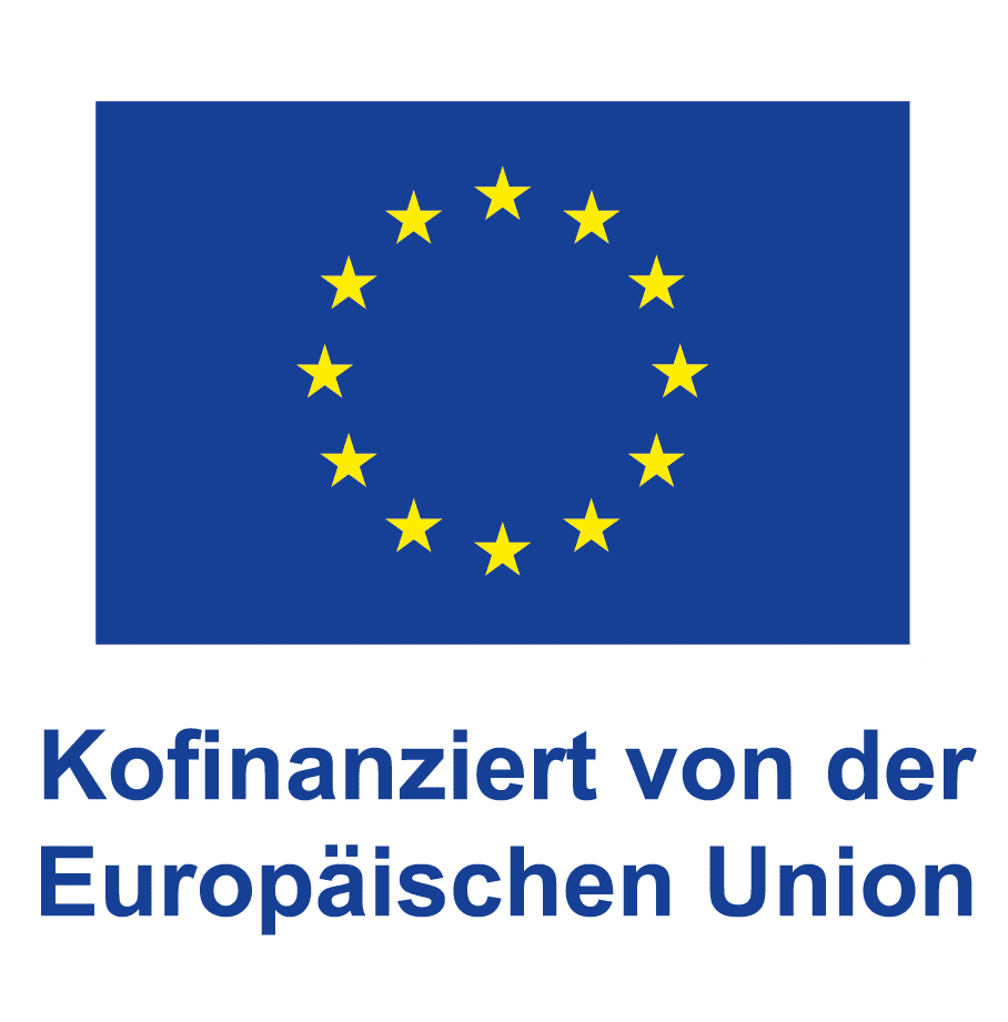 DE_V_Kofinanziert_von_der_EuropN__ischen_Union_POS