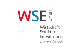 WSE logo