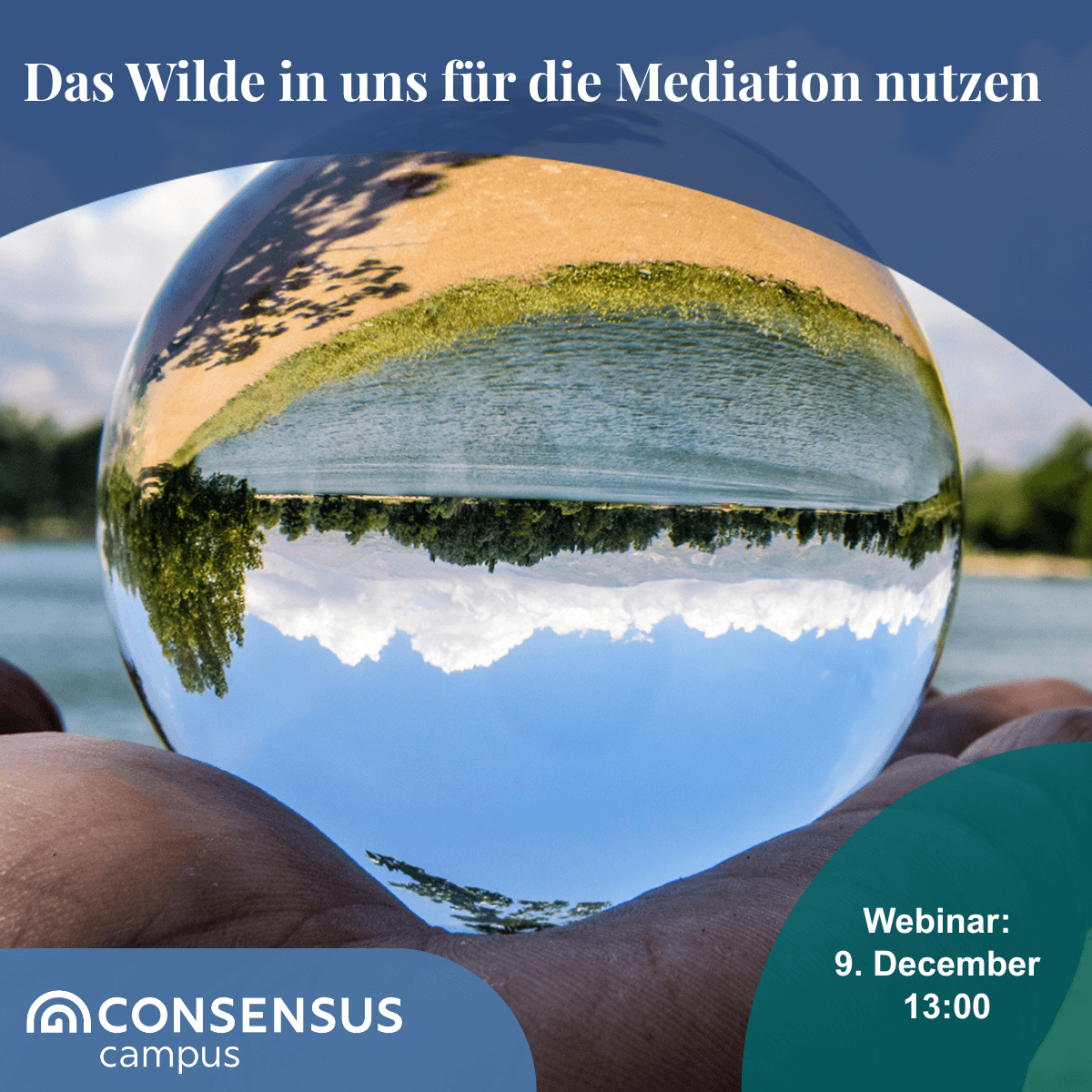 Das Wilde in uns für die Mediation nutzen